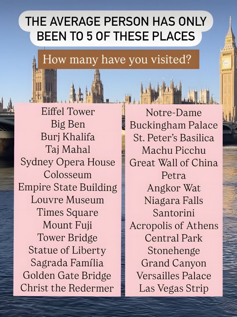 Thomas_Webb tweet media