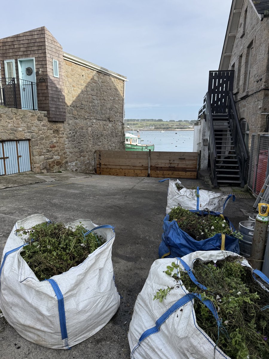 come2scilly.com tweet media