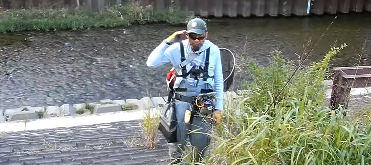 りんごのパパ (@ringonopapa) / Posts / X