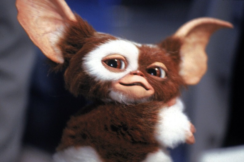 JVCom's tweet image. Les Gremlins 3 sortira le 17 novembre 2027 !

C&apos;est Chris Columbus (Harry Potter 1 et 2, Maman j&apos;ai raté l&apos;avion...) qui réalisera le film.