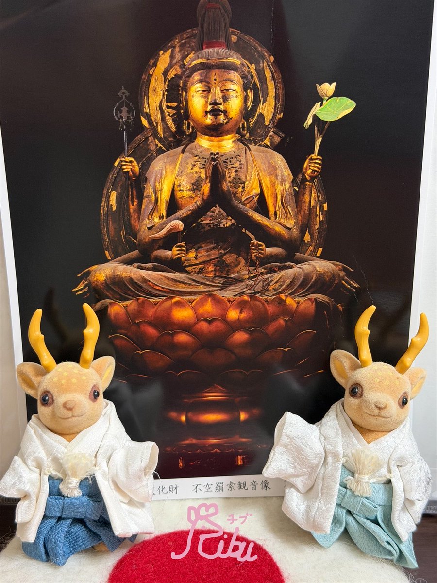 ♡monkeyページ♡ 𐂂 チブ鹿ドグマー𐂂 🌿🦌🪷🇯🇵⛩️ (@padmeganga) / Posts / X