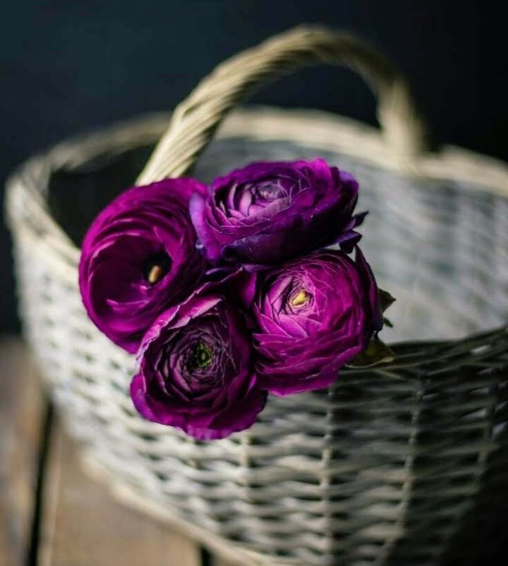 Hatadan kendine dönen kazanır

Kalan ömrünü
geçen ömrüne kefil edecek hayat sürmeli insan!

Yoksa daha çok ziyan olacağız!..