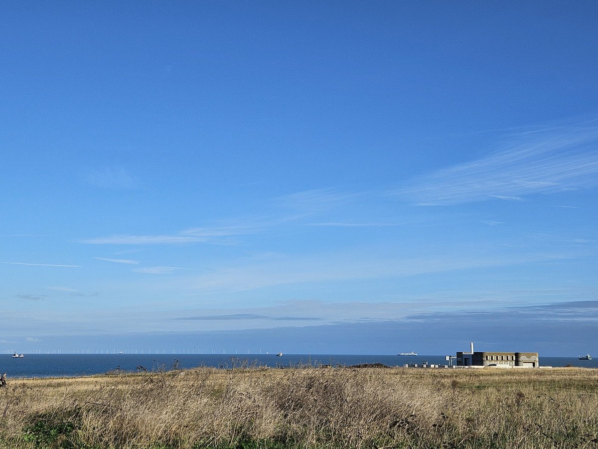 ED Birding tweet media