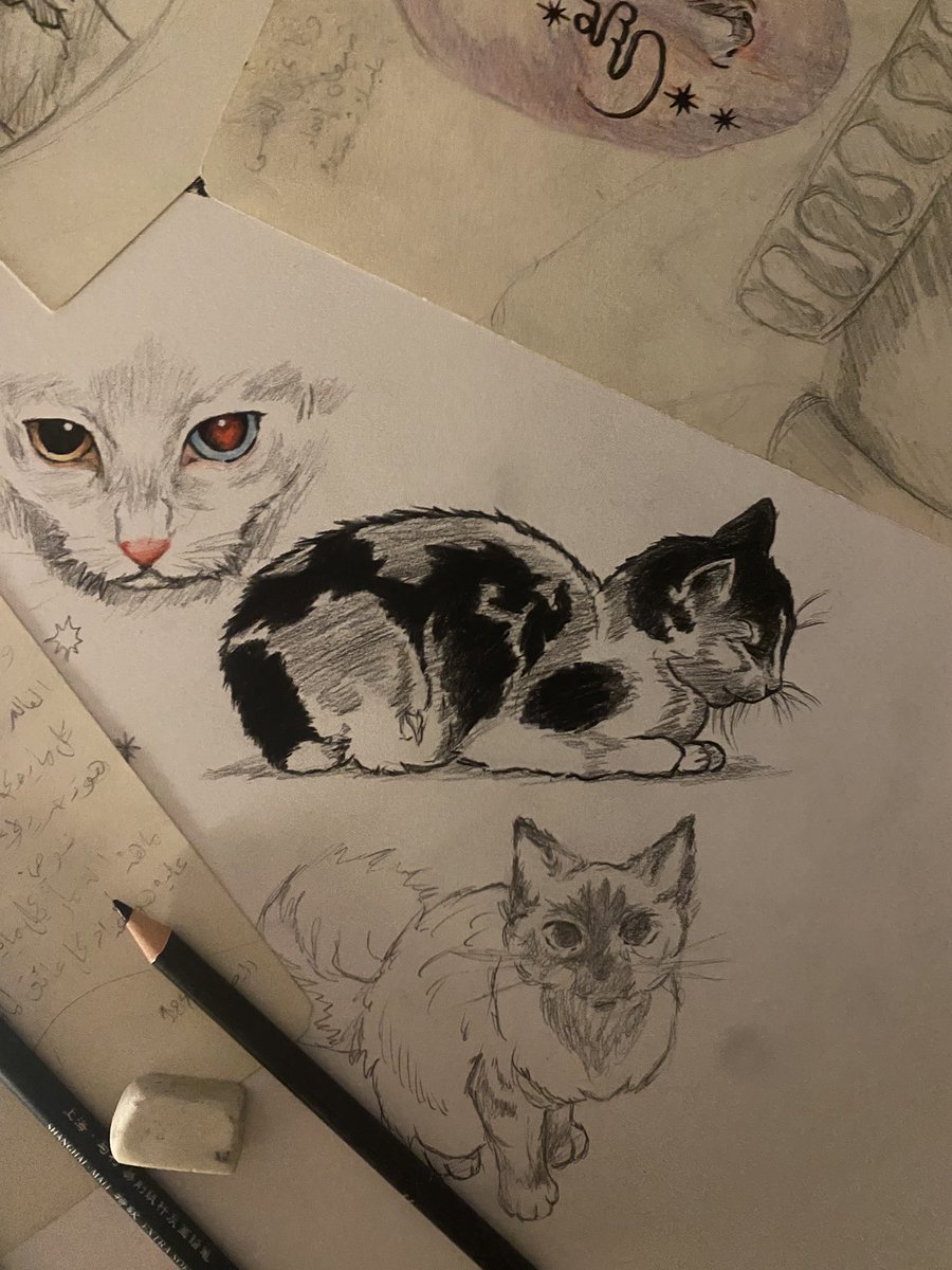 Evenpoolofblood's tweet image. 