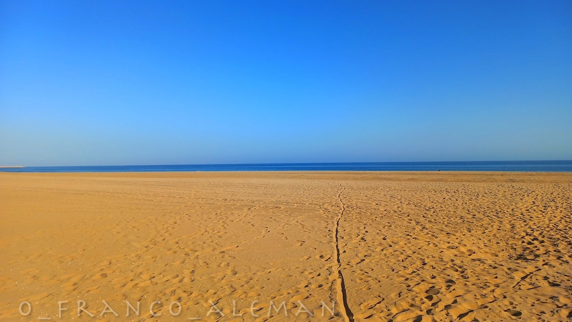 Mas, conquanto não pode haver desgosto
onde esperança falta, lá me esconde 
Amor um mal, que mata e não se vê.

Que dias há que n'alma me tem posto 
um não sei quê, que nasce não sei onde, 
vem não sei como, e dói não sei porquê.

Luís de Camões 

#poesia #fotografia