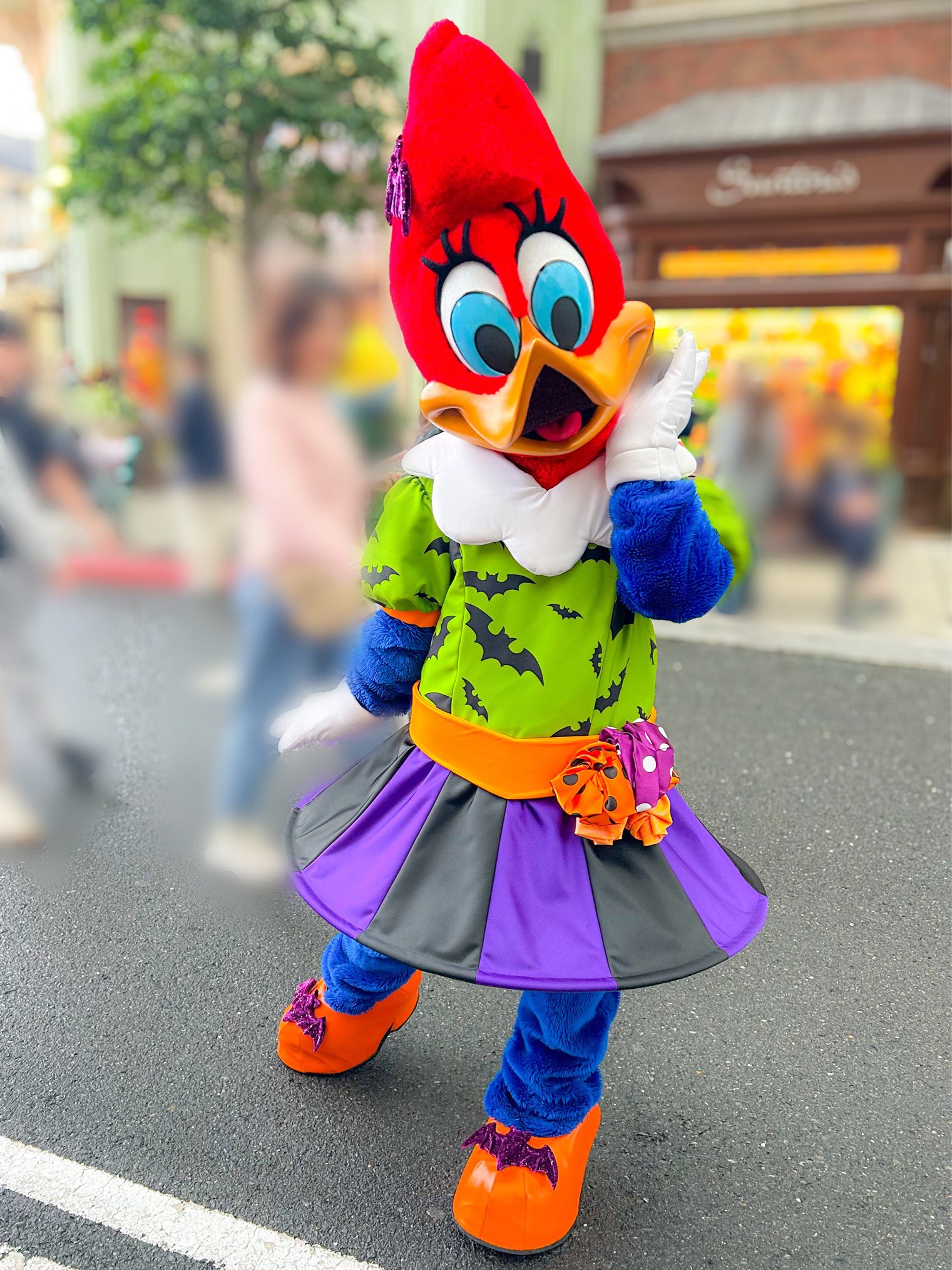 ウィニーウッドペッカー - Search / X