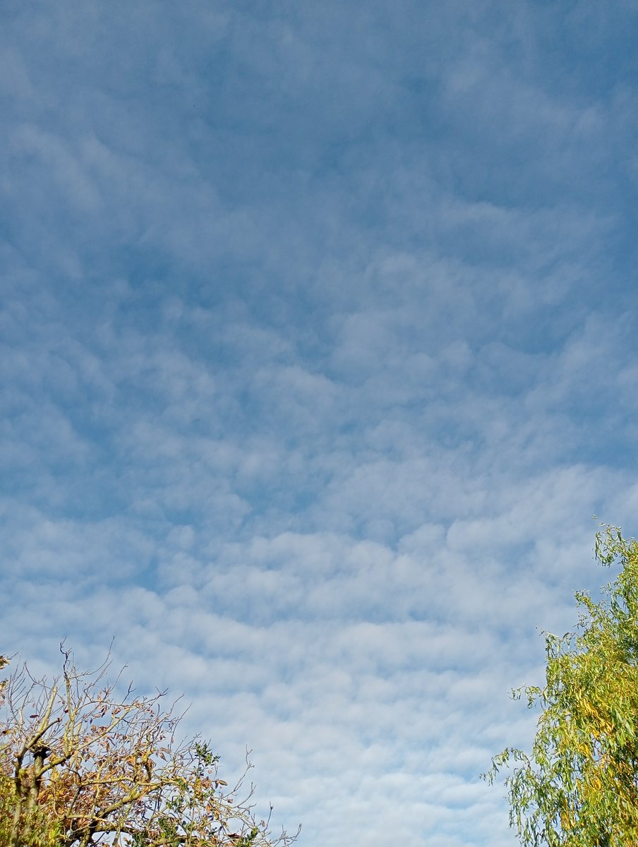 Lavante21575499's tweet image. More Netherlands, November 8th, 12:15pm. Look at the state of the sky. We&apos;re being cooked. These evil scumbags must be stopped at all costs. #HAARP #EISCAT #DOPPLER #NEXRAD #GEOENGINEERING #BIOTERRORISM
