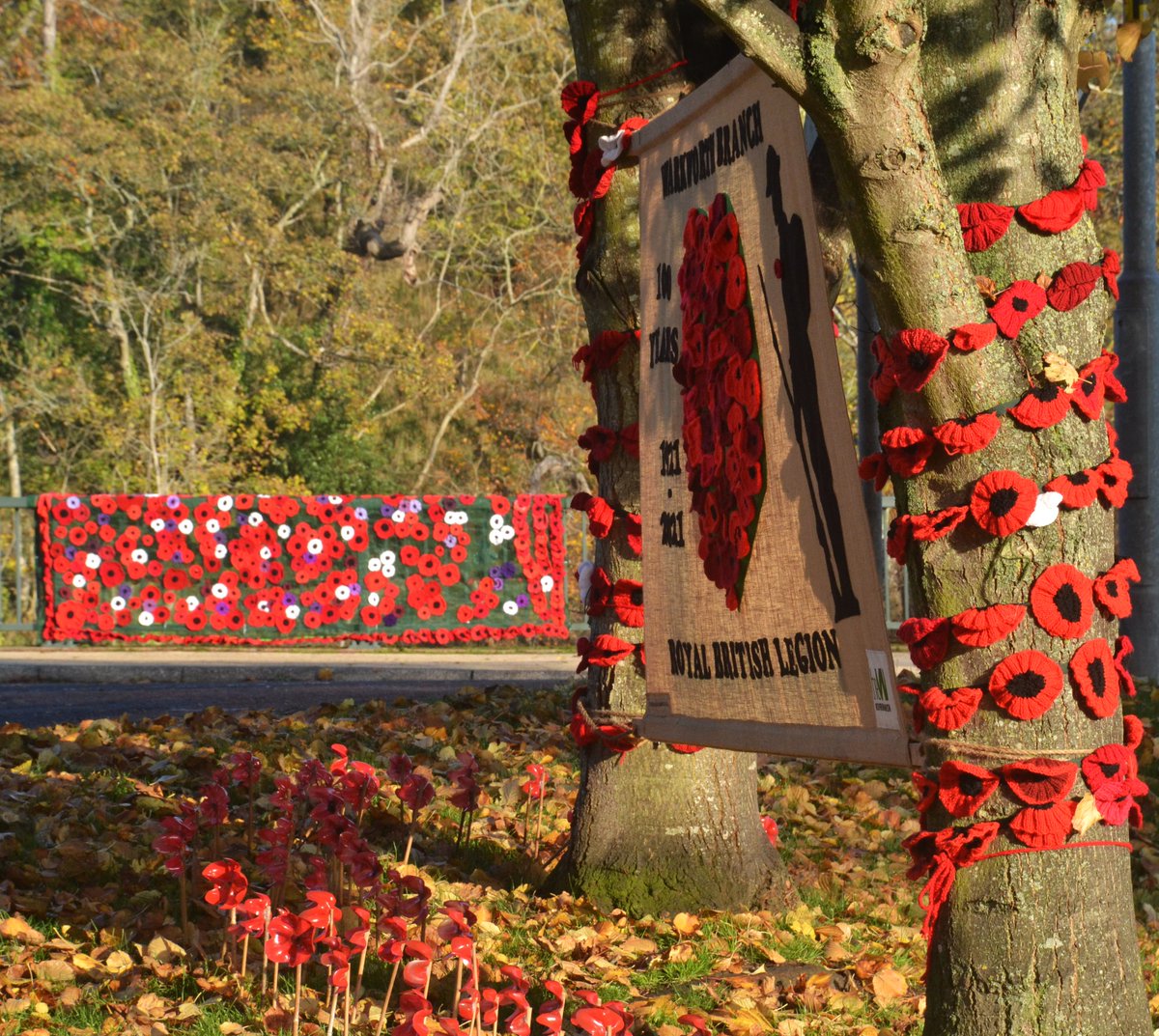Warkworth all ready for remembrance Sunday #poppies