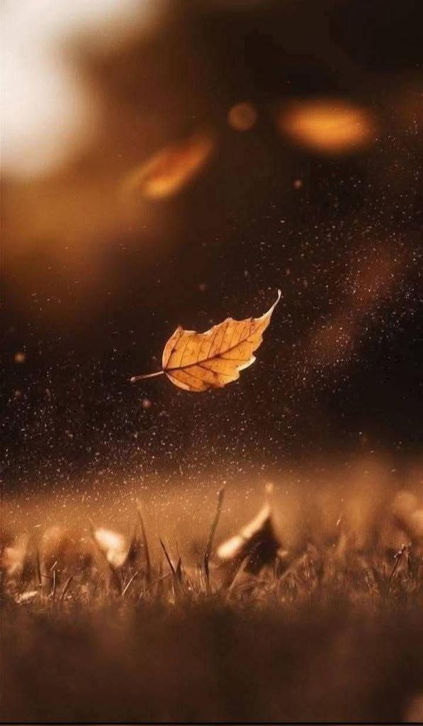 مُدَّتیں ہو گئیں__ حِساب کئے
کیا پتہ ، کتنے رہ گئے ہیں ہم !!

#روشنی