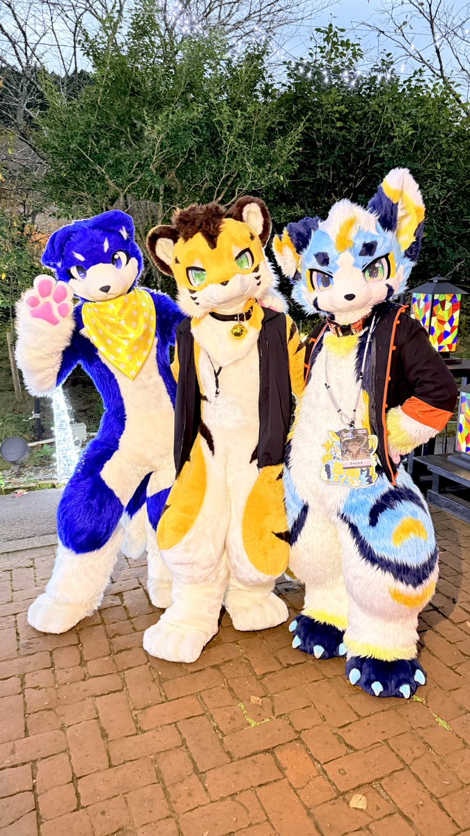 翠雨先輩とがさぶろー先輩とスリーショット！📸
可愛いすぎるー！！🐾