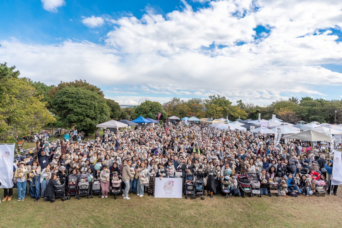 ロンちゃんを探せ❗️レベル3❗️

#シーズー #shihtzu
#asknowas #asknowasdewan
＃シーズーフェスティバル
#シーズーフェス2025イーノの森