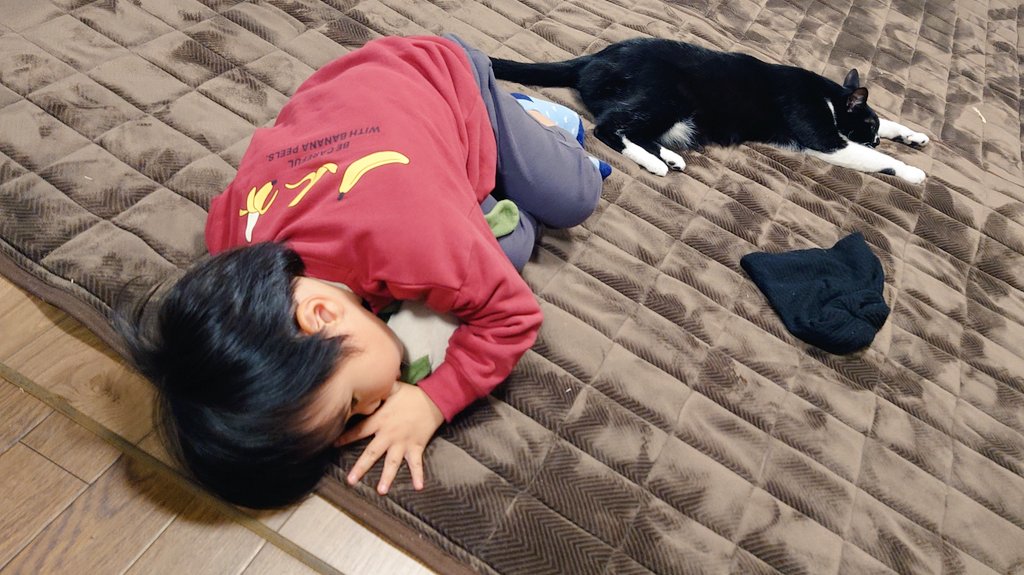 CIbPeFjePNtA1FP's tweet image. ホットカーペットでゴロゴロし隊

#今日のあんこ
#ﾒｰﾒｰ成長記