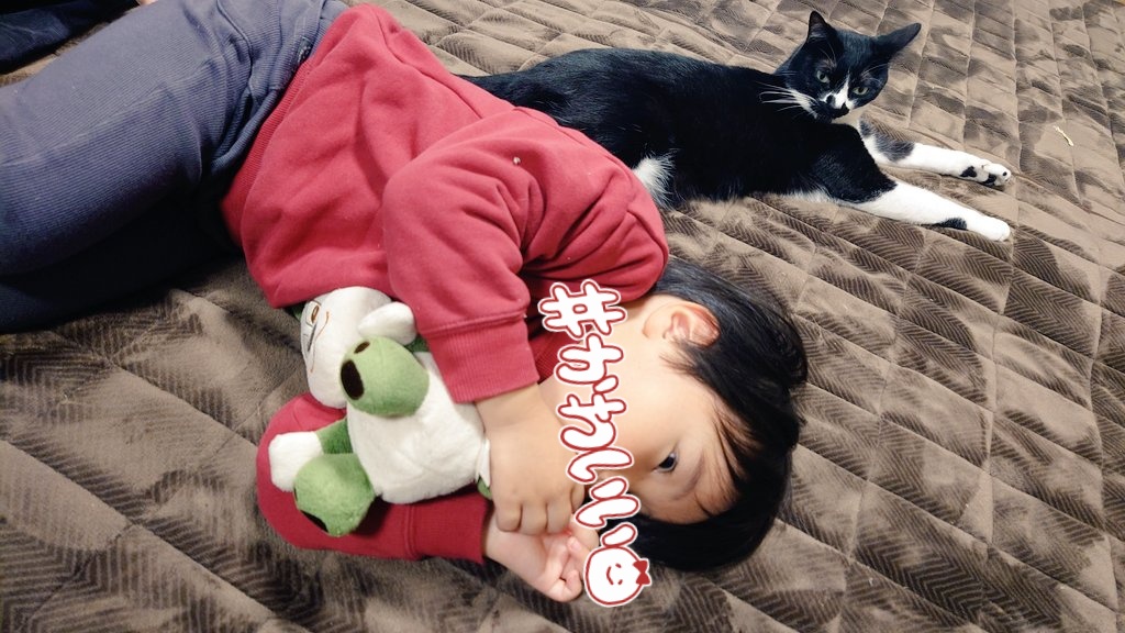 CIbPeFjePNtA1FP's tweet image. ホットカーペットでゴロゴロし隊

#今日のあんこ
#ﾒｰﾒｰ成長記