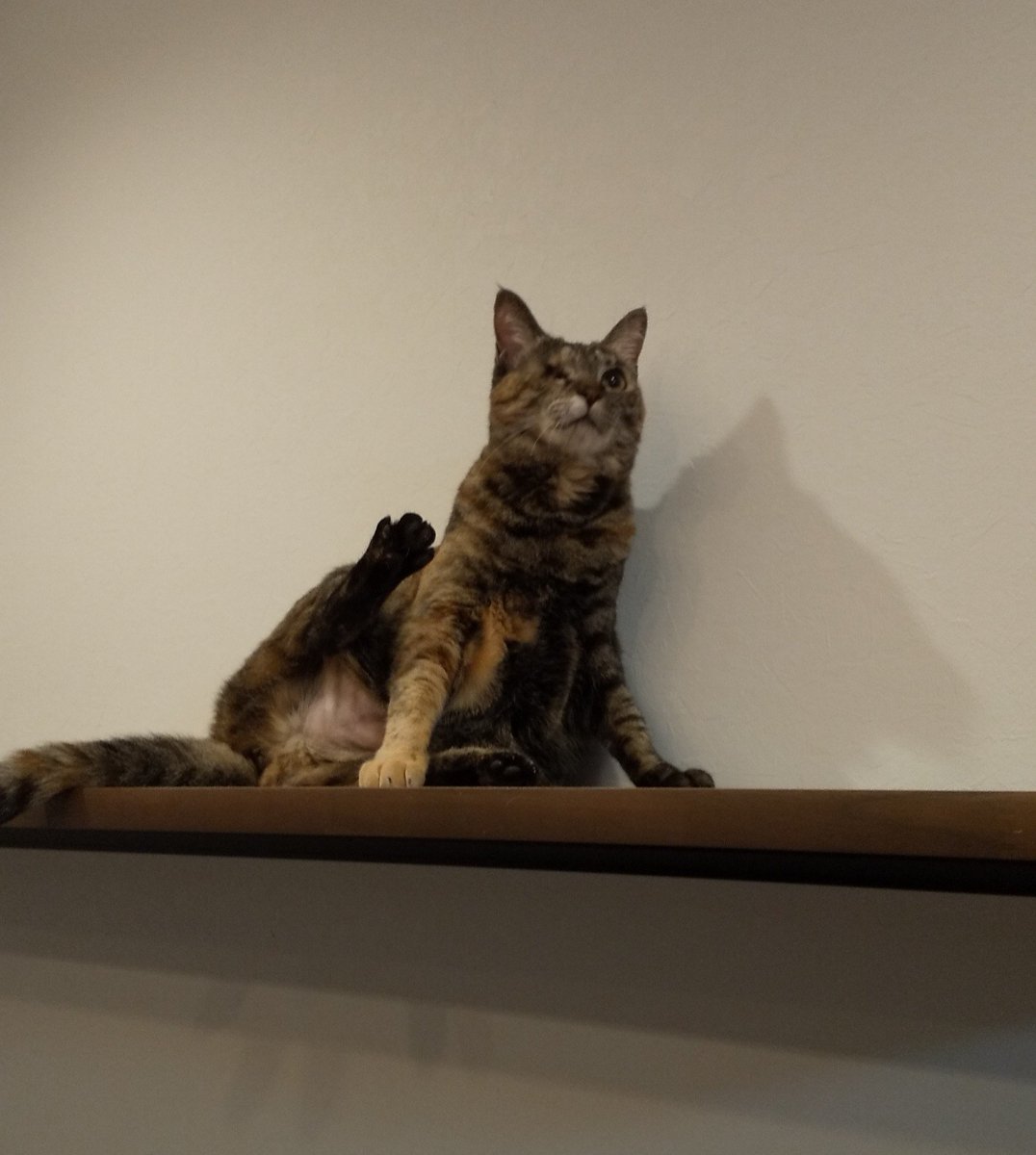 ケイコ (@FVqZix3tK871OBU) / Posts / X