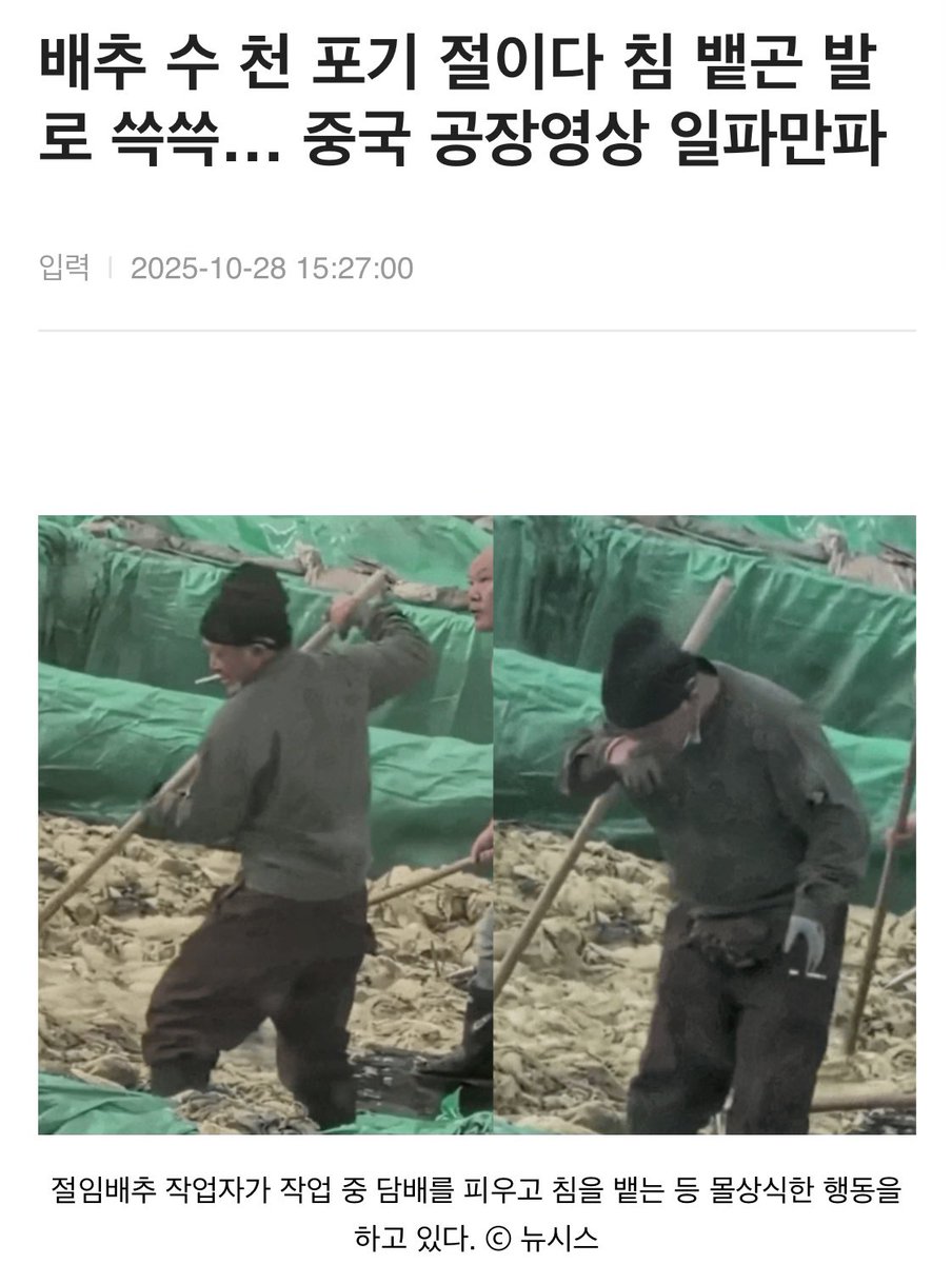 김치 사 먹지 마세요. 집에서 담그세요. 
🤮🤢
출처: 동아일보