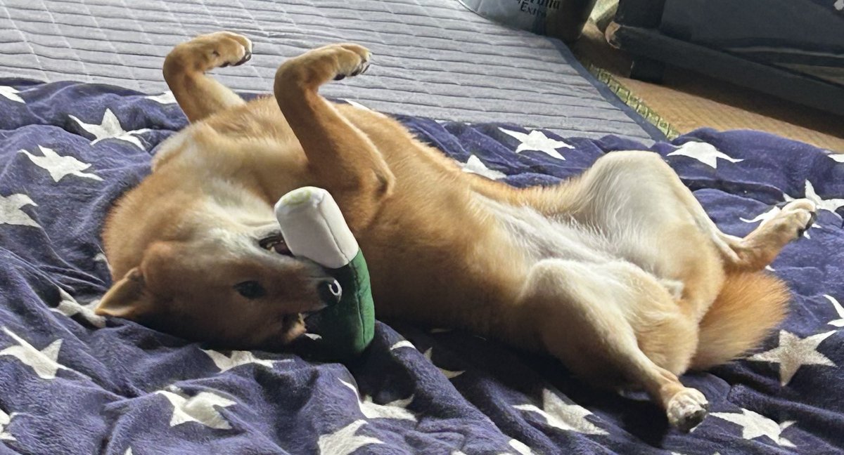 長ネギッッッ!!!!