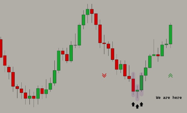 engin.erol tweet media