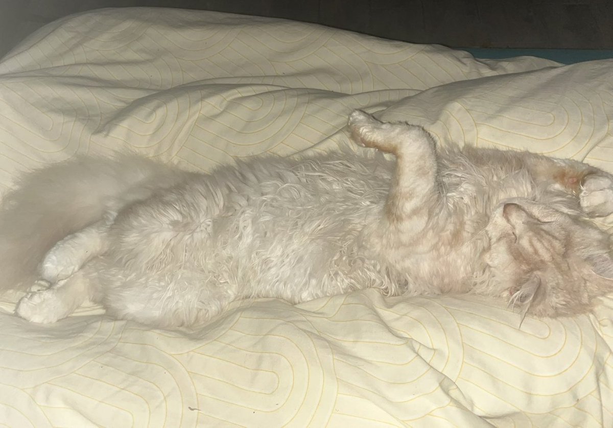 Mathookee's tweet image. Bonne nuit teïko, mais il va falloir penser à se lever il est 12h30!!!!