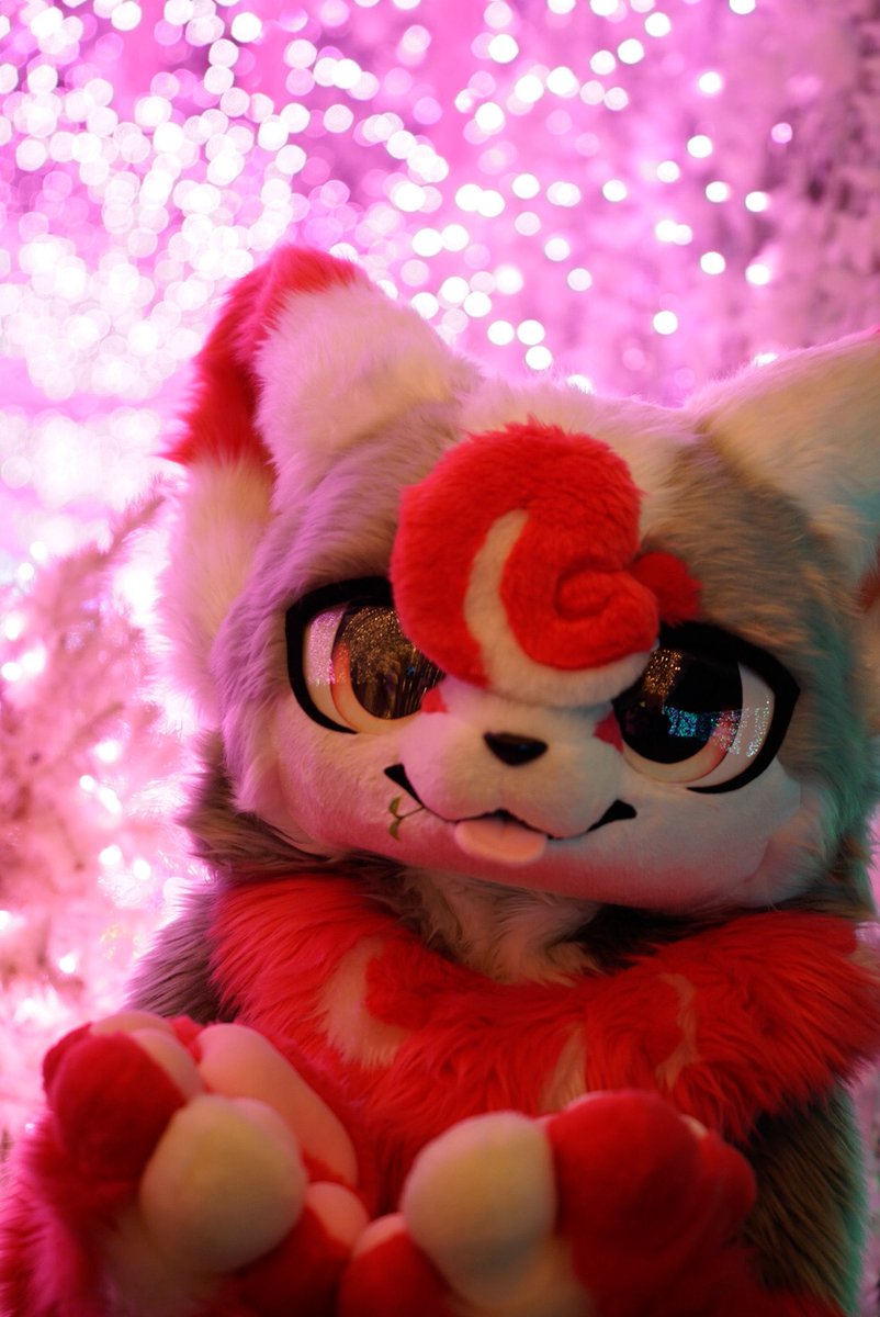 まるで桜気分🌸
#kemocon18