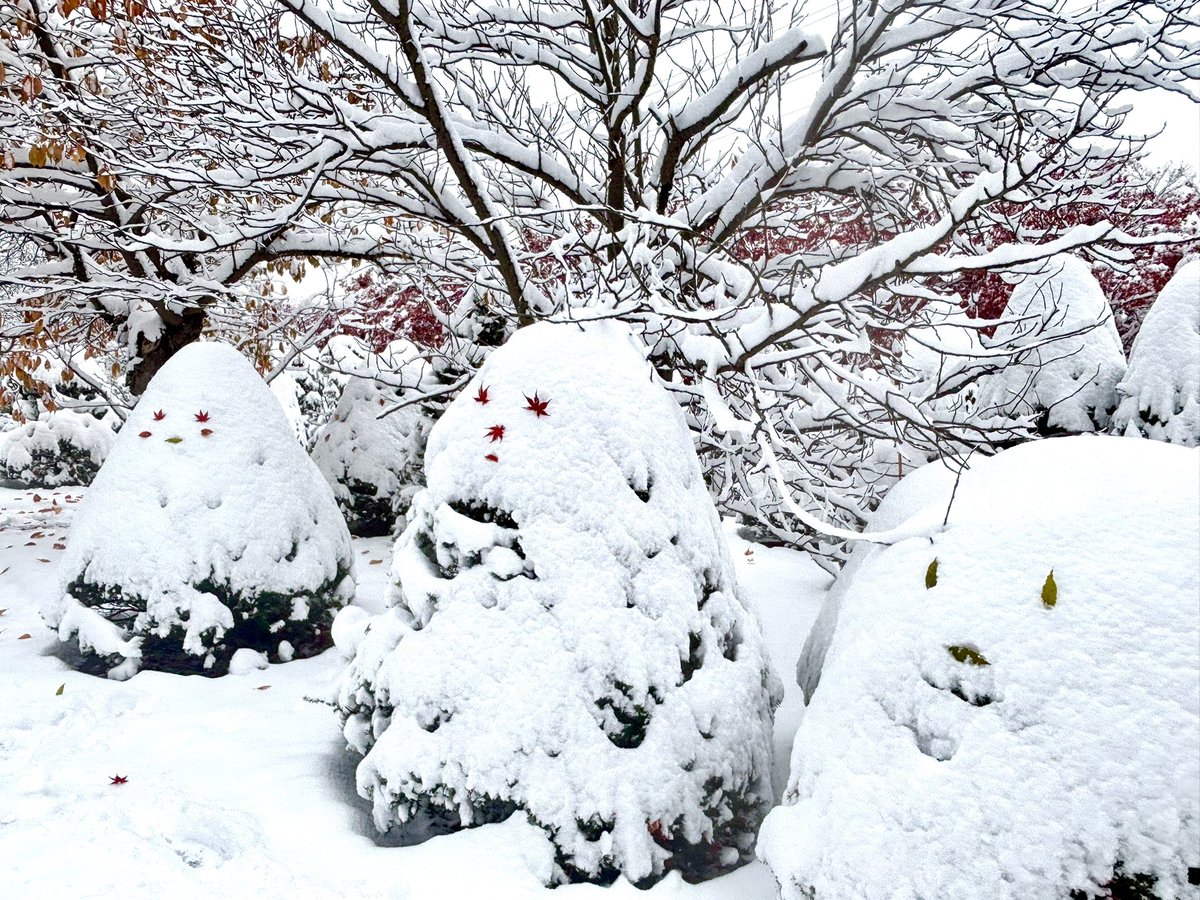 chiecolor's tweet photo. 木にモコモコ積もる雪にちょっとイタズラ… #平岡樹芸センター https://t.co/rmvtJ1mGNo