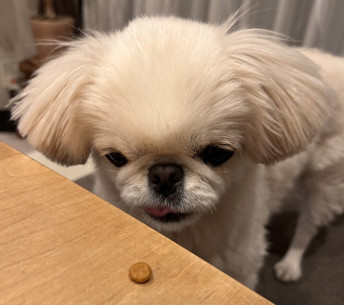 むぎくん (@muuuugi76) / Posts / X