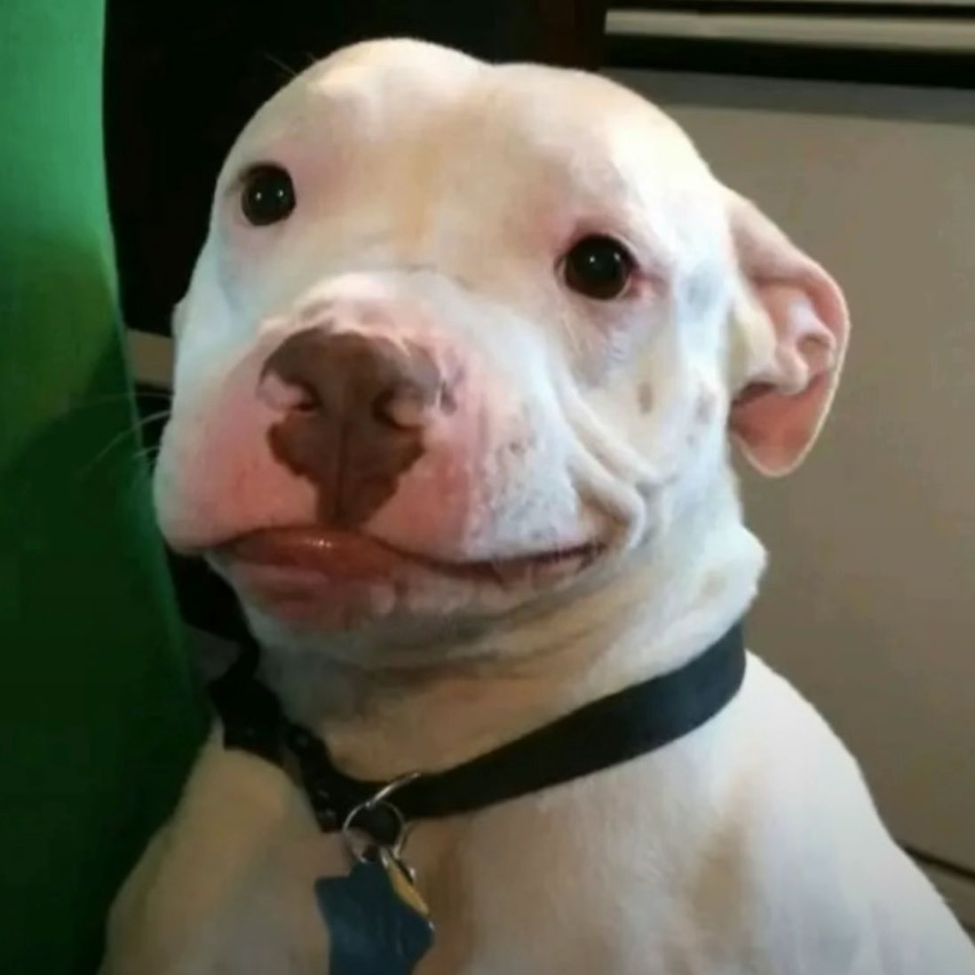 amayamaritza_'s tweet photo. me when williams: https://t.co/WjiCuxVKQm