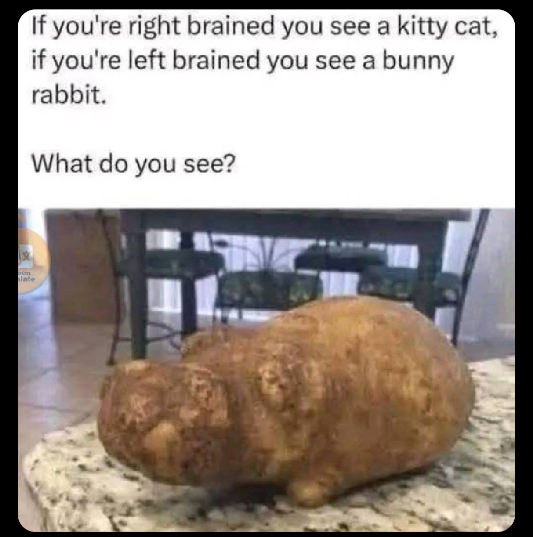 Every time i see one of these posts, I dont see either of the choices listed.
Does that mean I'm using part of my uncharted brain?
I see a hippopotamus. 🧐
Do I need an MRI ? 😂