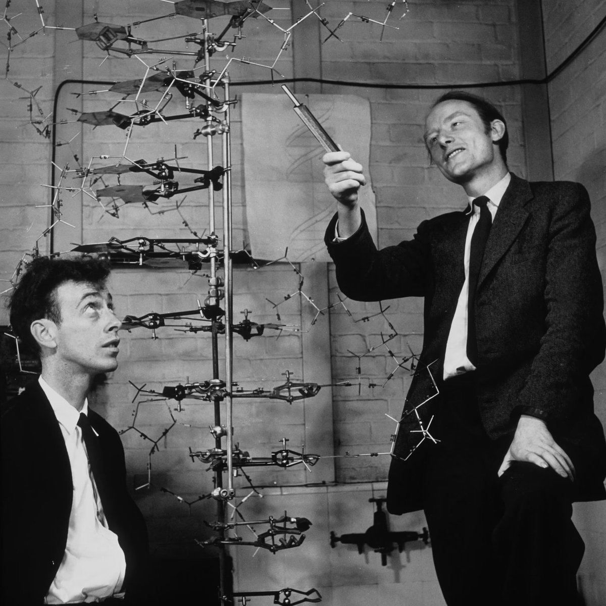 AmanyAlMars's tweet photo. RIP James Watson 🤍 🕊️
Thank you for a discovery that sparked the genomic age.. 
#DNA https://t.co/desXLejLTP