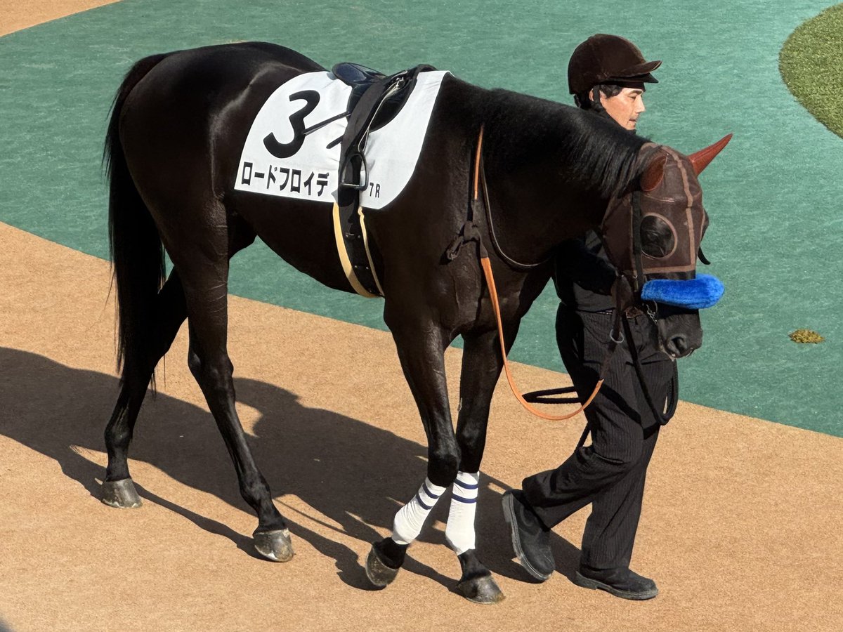 ドゥラメンテゼッケン 東洋柔道着 全柔連新規格適合 EVOLUTION 上下セット ネーム刺繍