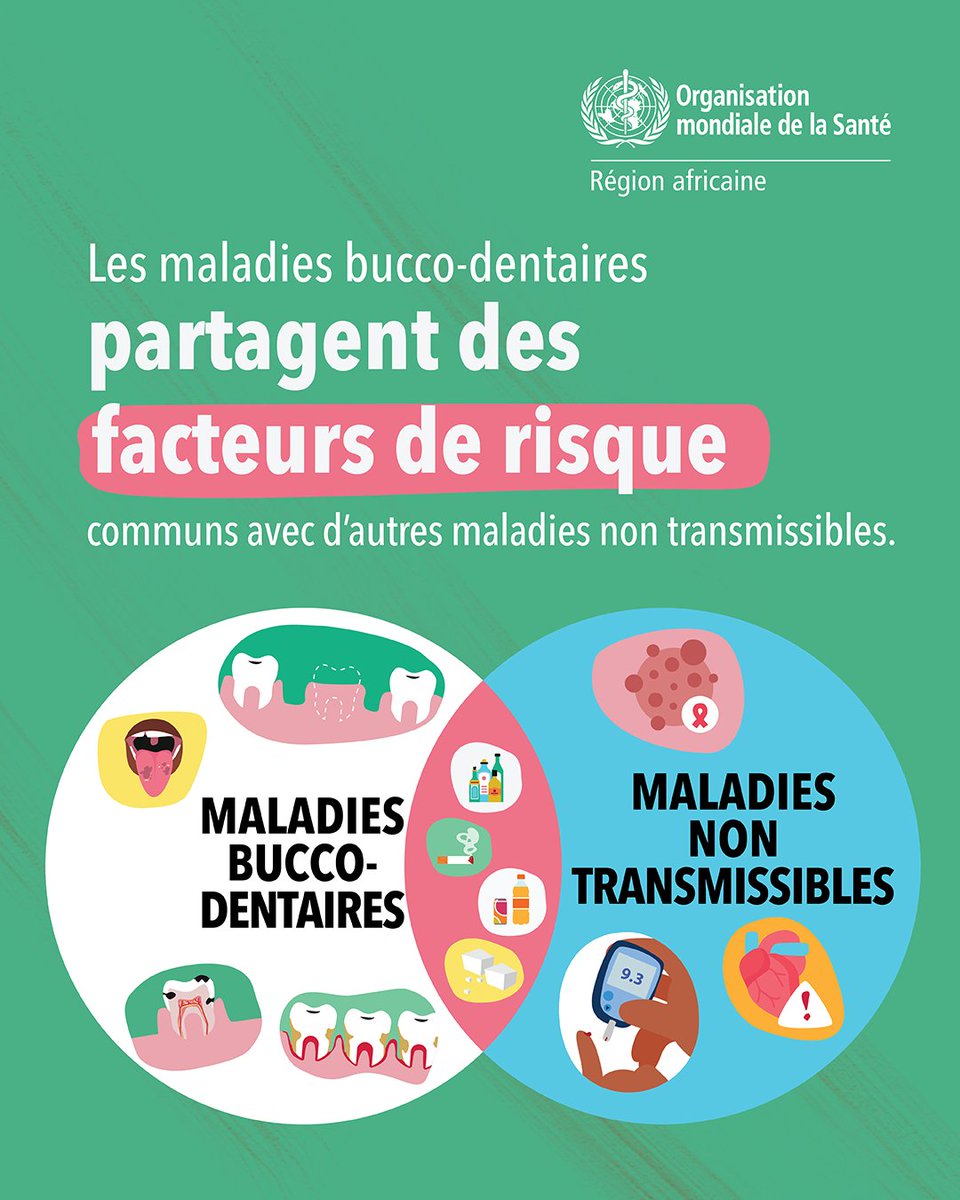 OMS_Afrique's tweet image. Les maladies bucco-dentaires partagent des facteurs de risque communs avec des maladies non transmissibles comme le #diabète, le #cancer et les maladies cardiaques.

@WHO collabore avec les gouvernements afin de recentrer les efforts sur la prévention et la promotion plutôt que