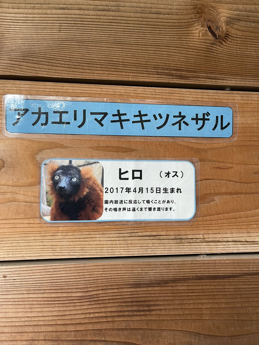 ラルママページ 朔羅 on X