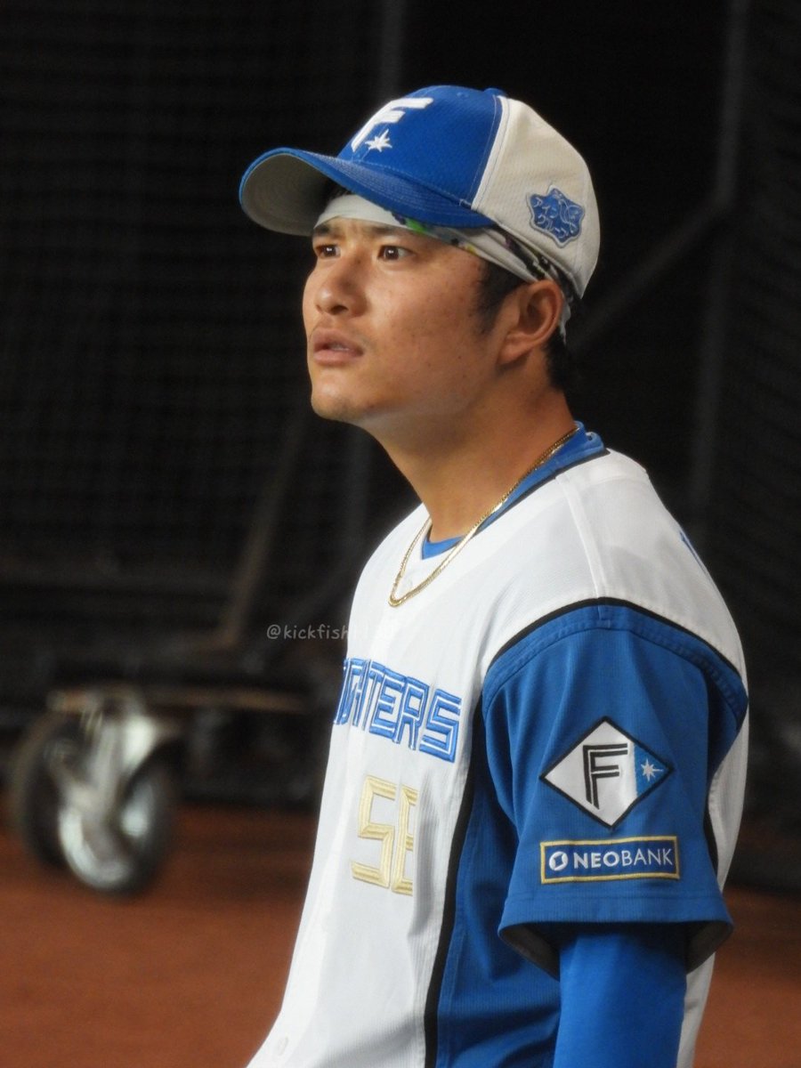 🐅おさかな姉やん🐿️ on X