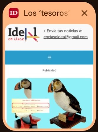 Los ‘tesoros’ de las salas de biología y geología del Museo Suárez (71): Frailecillo atlántico
en-clase.ideal.es/2025/11/08/los…