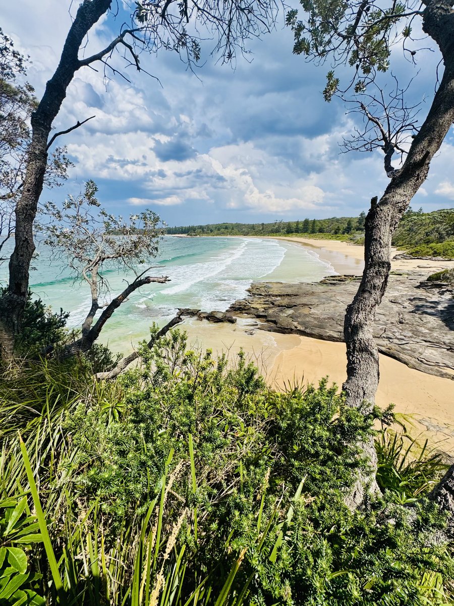 Clocked up lots of steps today 🚶🏻new knee well &amp; truely tested ✔️