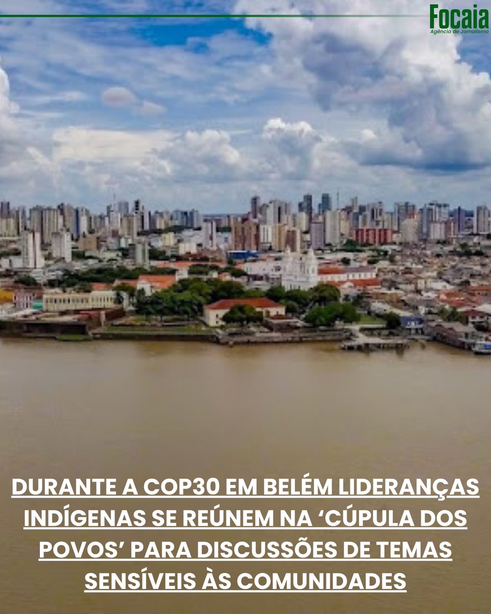 Focaia's tweet photo. Meio ambiente 
✍️Francisco Lucidio

https://t.co/O1Mb8pCzpu

#JornalismoFocaia https://t.co/cvSWghvROx