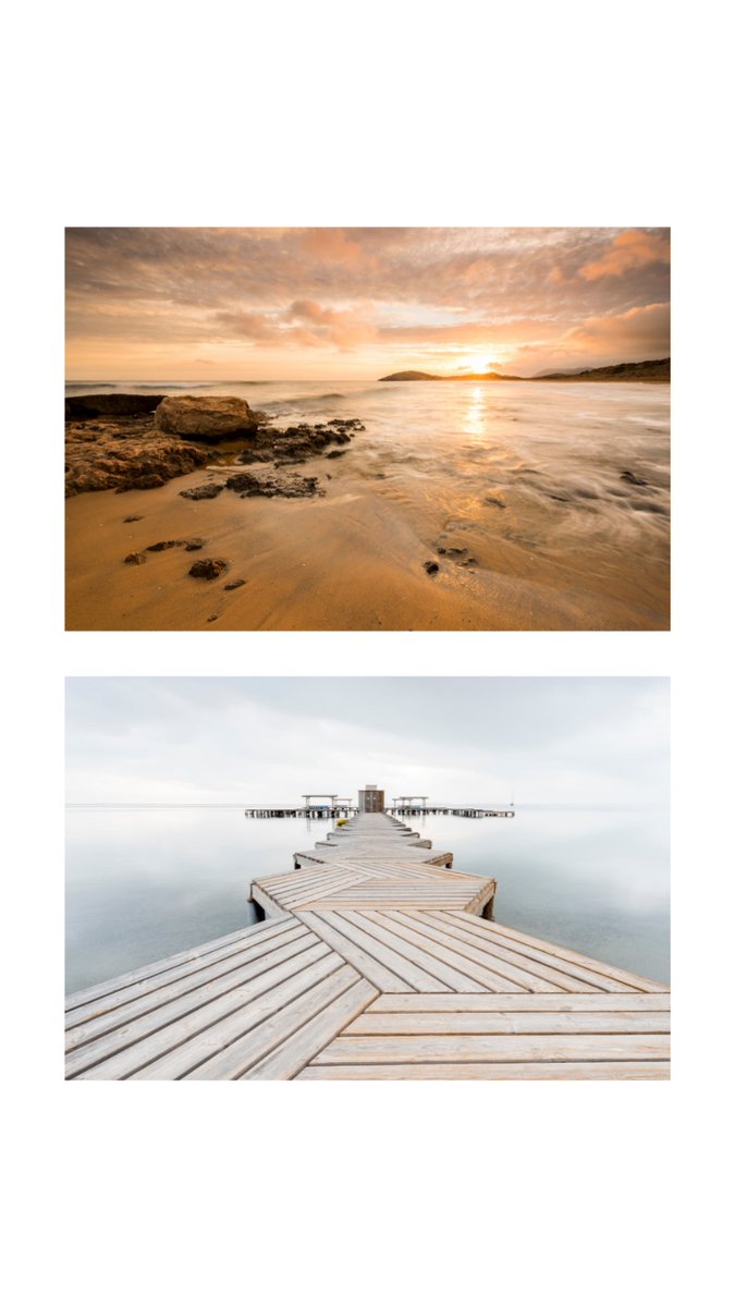 EF Triolas tweet media