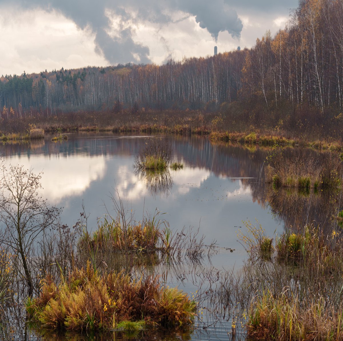 Осення хтонь.
