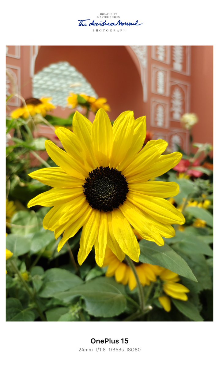 OnePlus 15 has OP Gaming core, OP FPS Max and OP Performance Tri chip for better performance 
along with India’s first phone with Snapdragon 8 Elite Gen 5 which can be one of the best smartphone for performance this time imo 🤔

Along with that it has 👇
•⁠  ⁠IP69K rating over