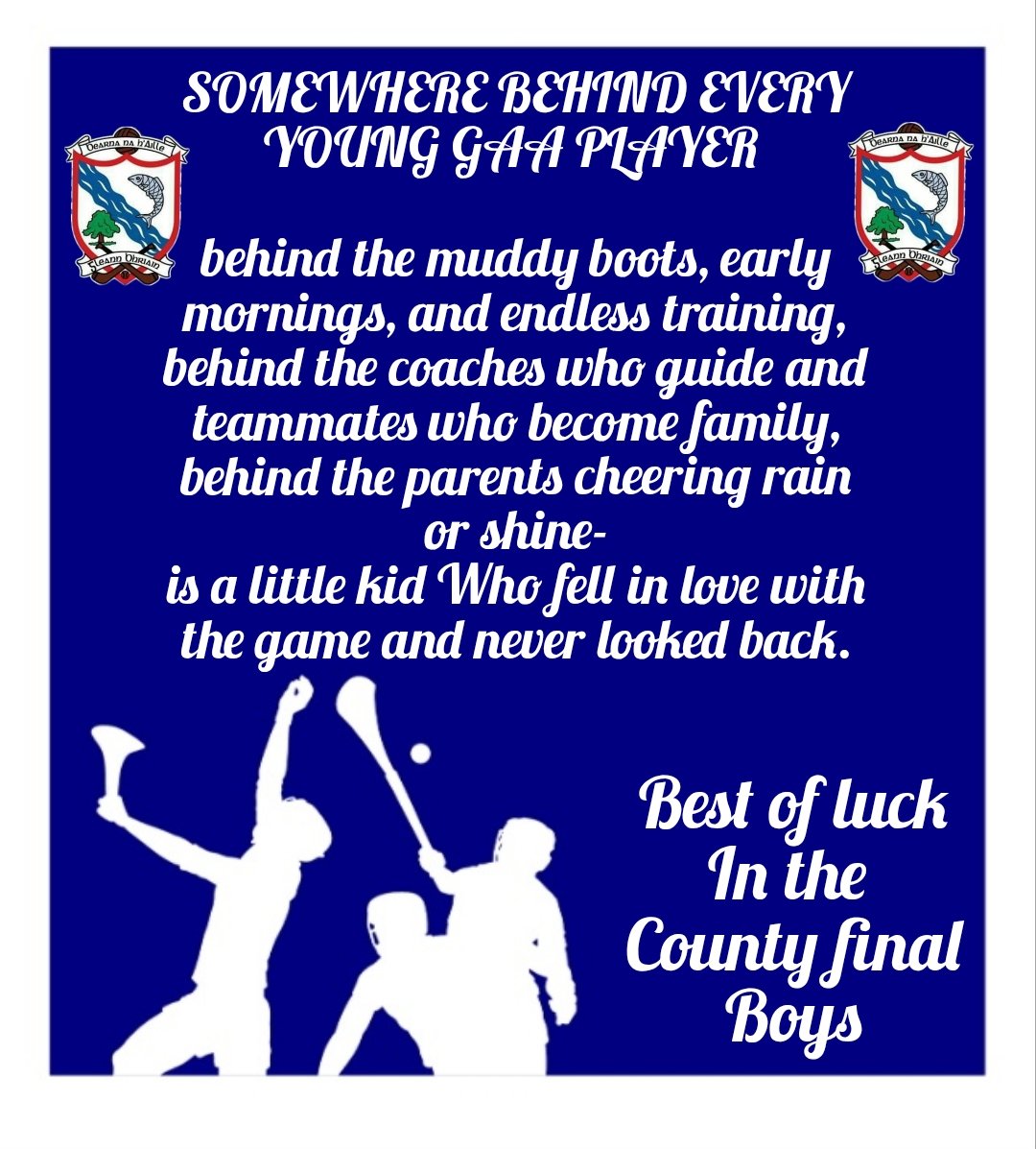 Oylegate Glenbrien Half Pace Hurling tweet media