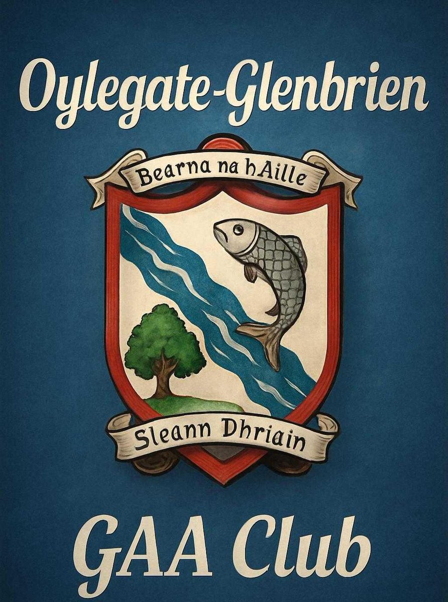 Oylegate Glenbrien Half Pace Hurling tweet media
