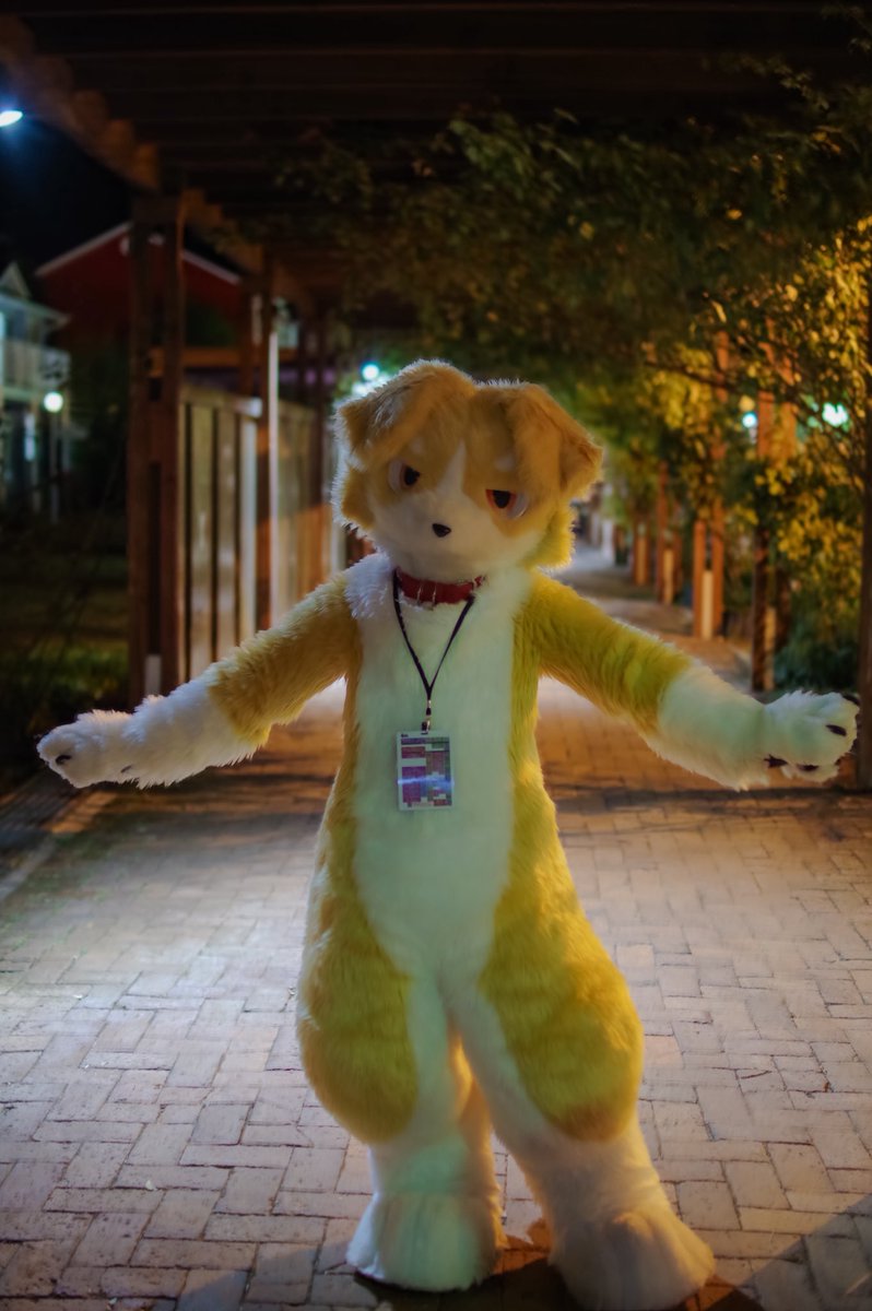 食事の帰り
ホッコリィくんに出会いました
カワヨイ❣️
 #kemocon18

（<a href="/rabbird_6L/">しくせる</a> )