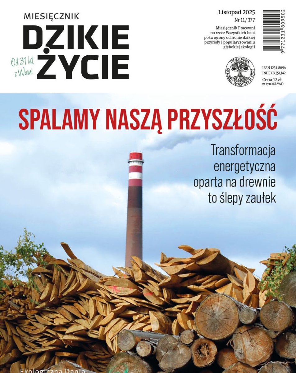 Najnowsze <a href="/DzikieZycie/">Dzikie Życie</a> już tu jest!
A w nim, dosłownie,🔥
Niestety dotyczy on lasów🌲#BiomasaDrzewna spalana w energetyce zawodowej to zagrożenie dla 🇵🇱przyrody i finansów - bo jeśli plany <a href="/motykamilosz/">Miłosz Motyka</a> (WEM w KPEIK) powiodą się, czeka nas📈import drewna
dzikiezycie.pl/aktualnosci/60…