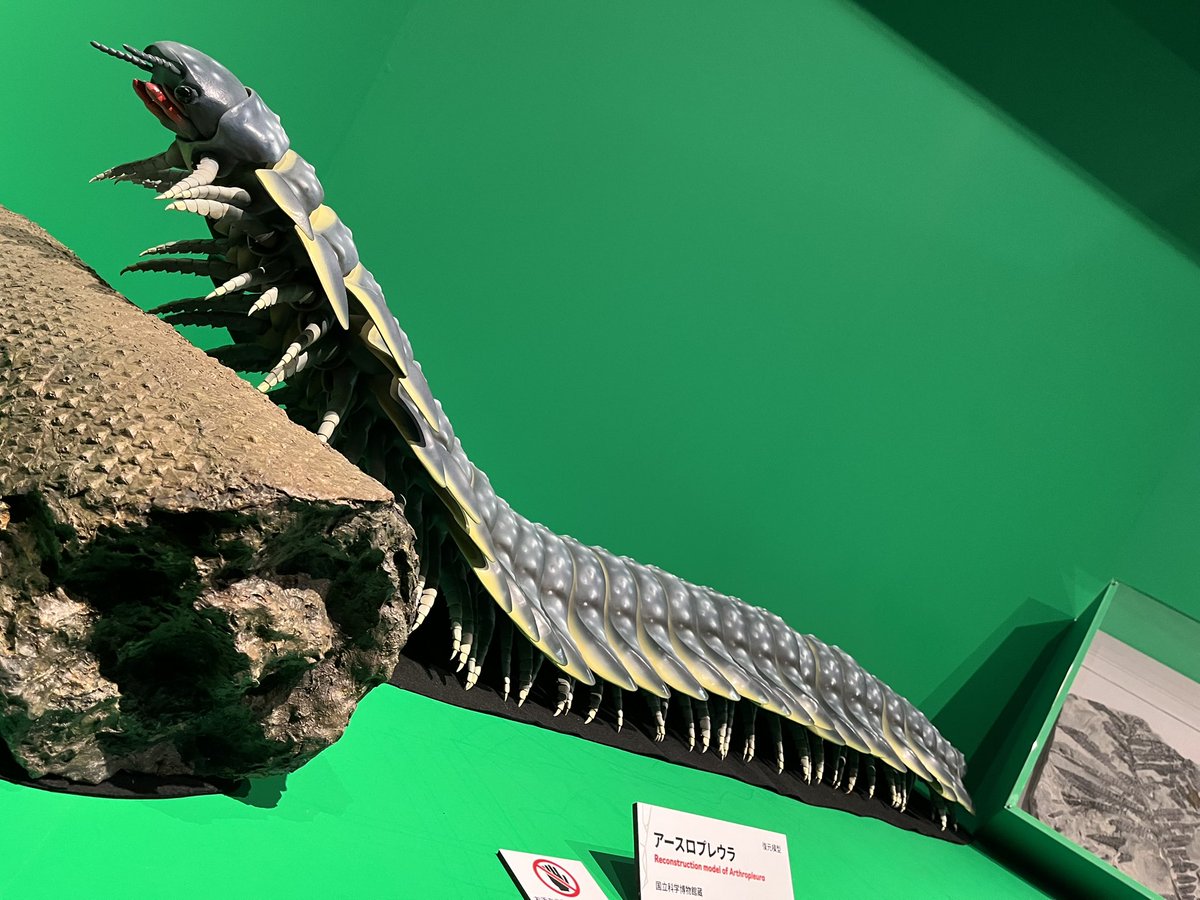 キンケツゥ・ナウ on X