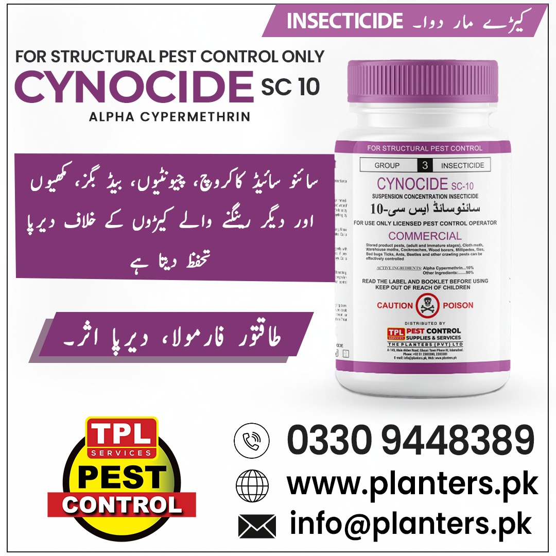 TPLPestControl's tweet image. کاکروچ، چیونٹیوں، کھٹمل، مکھیوں اور دیگر رینگنے والے کیڑوں کے خلاف دیرپا تحفظ فراہم کرتی ہے۔ 

 Call: 0512303380 
 website: planters.pk
 
#Cynocide #PestControl #Insecticide #AlphaCypermethrin #TPLPestControl #CockroachControl #BedBugsTreatment #Ants