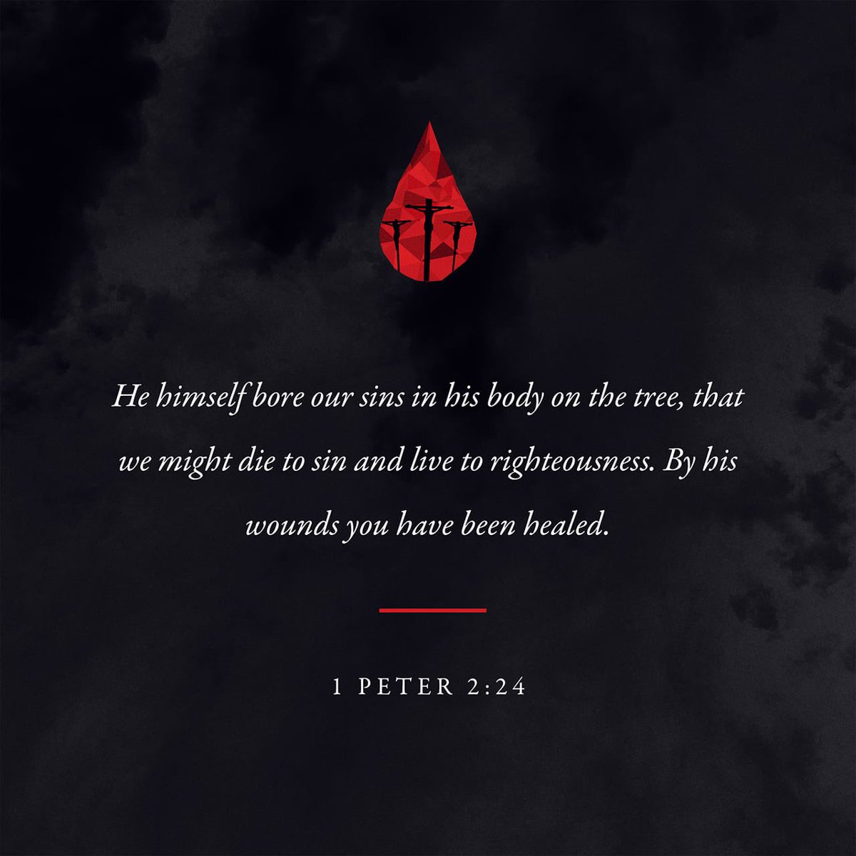 Sundaygirl07's tweet image. “He personally carried our sins in his body on the cross so that we can be dead to sin and live for what is right. By his wounds you are healed.” 1 Peter 2:24 NLT #verseoftheday #youversion #holybible #holyword #grace #mercy #hope #truth #faith #scripture