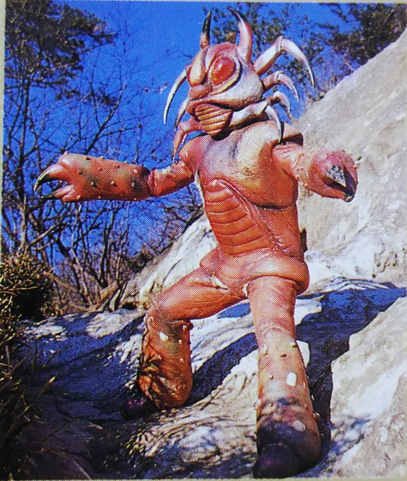 若狭 新一 tweet media