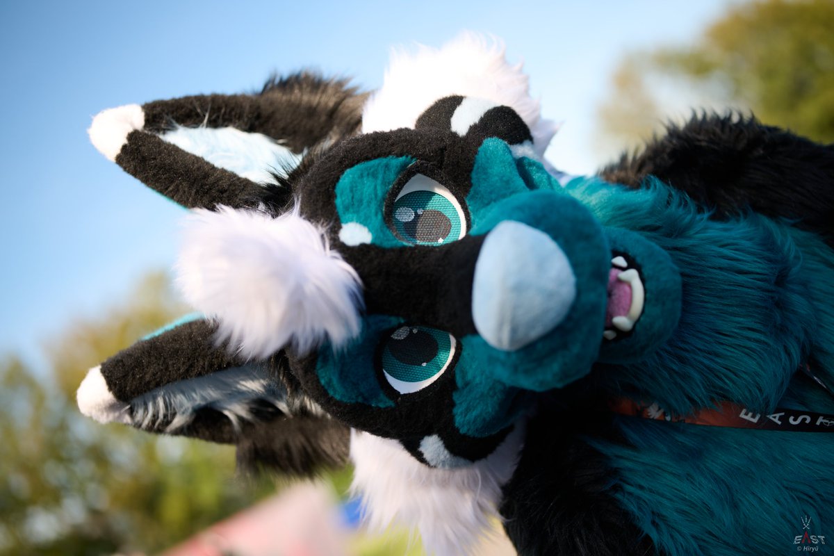 Dargo the Dragon tweet media