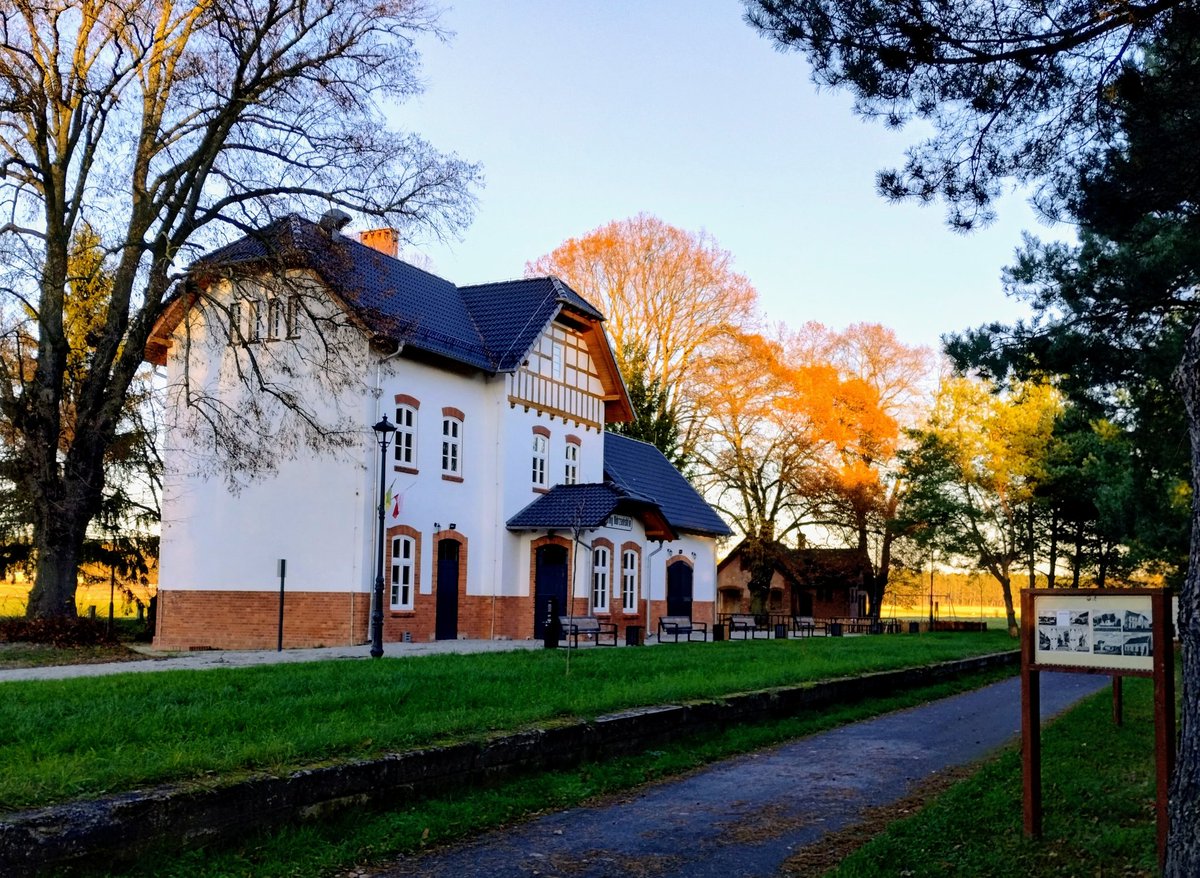 Radosław Palmowski tweet media