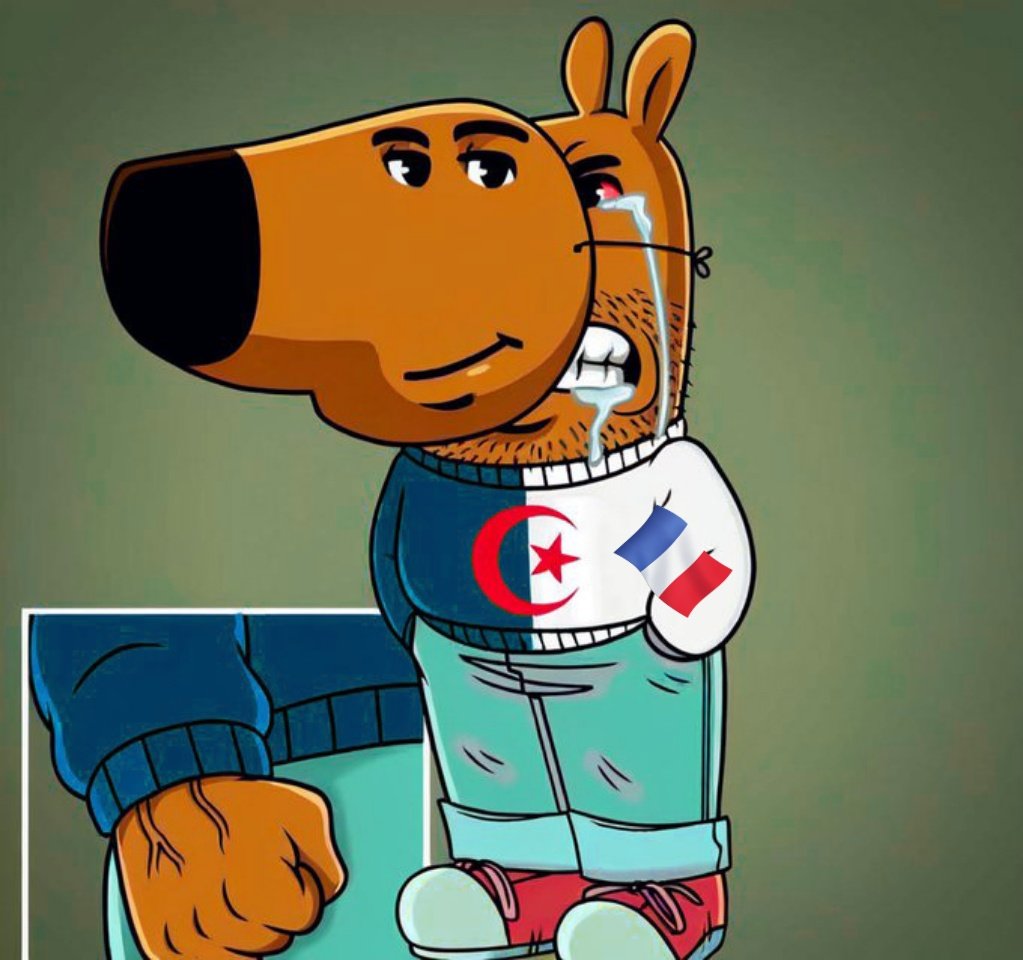 MoroccanID's tweet image. Hhhhhh dreams is free
100% #Moroccan_Architecture