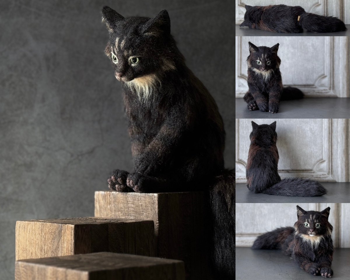 黒猫 実家の婆黒猫15歳(以上)。 いつでもチベットスナギツネすら逃げ出し